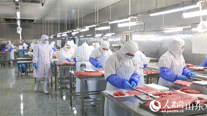  金槍魚生產(chǎn)加工車間  中魯遠洋供圖